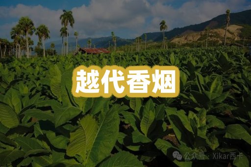 越代香烟